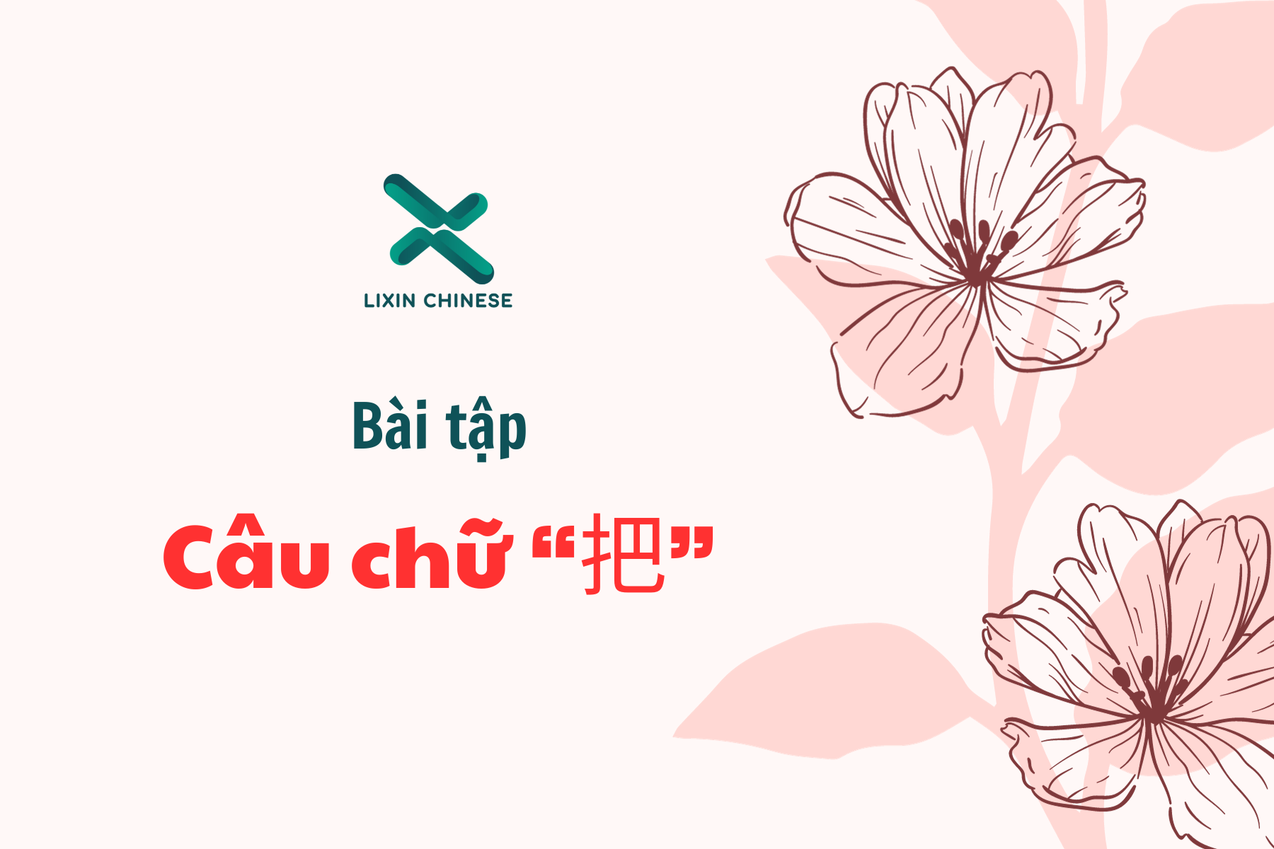 Bài tập cấu trúc câu chữ “把”