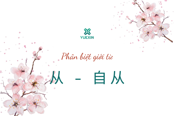 Phân biệt cách sử dụng giới từ “从” và “自从”