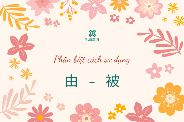 Phân biệt cách sử dụng của giới từ 由 và 被