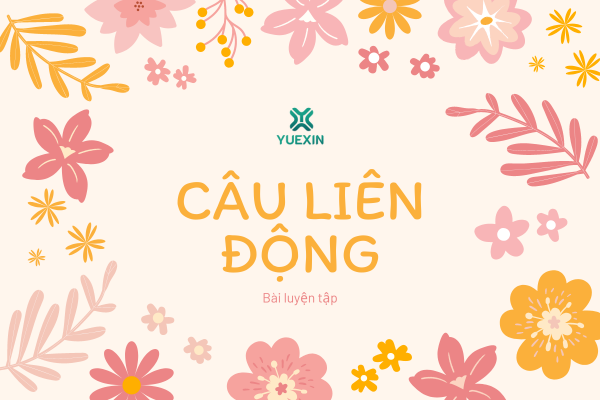 Bài luyện tập câu liên động