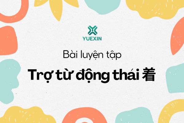 Bài luyện tập cách sử dụng trợ từ động thái 着