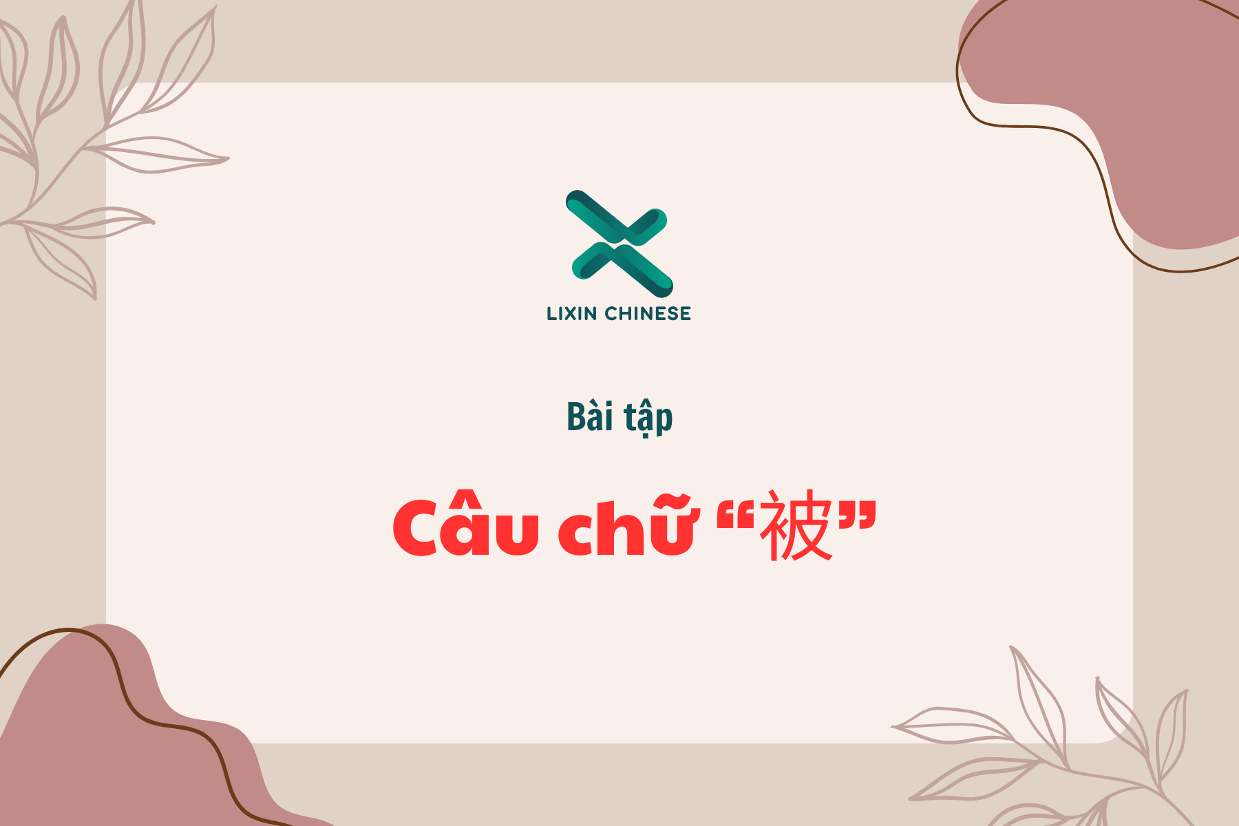 Bài tập câu chữ “被”