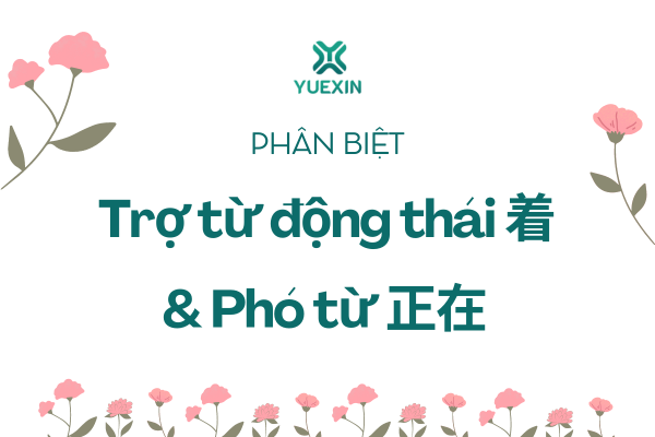 Phân biệt trợ từ động thái “着” và phó từ “正在”