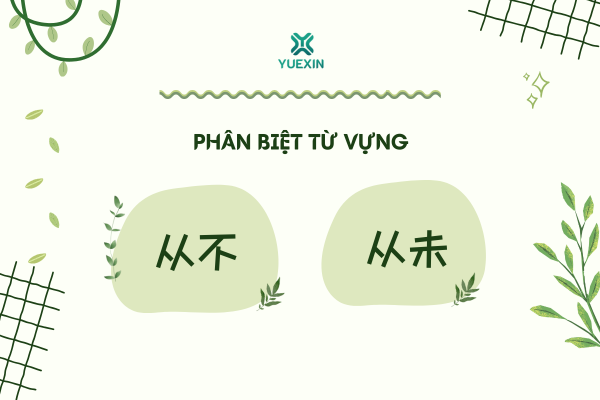 Phân biệt từ vựng: 从不 - 从未