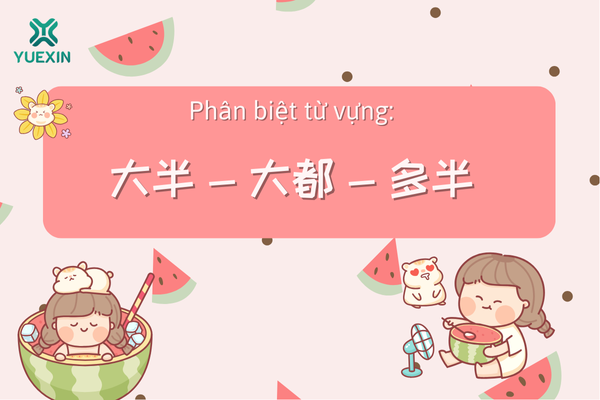 Phân biệt từ vựng: 大半 - 大都 - 多半