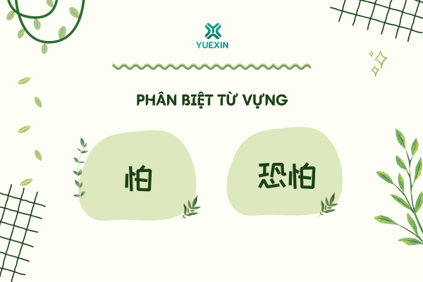 Phân biệt từ vựng: 怕 - 恐怕