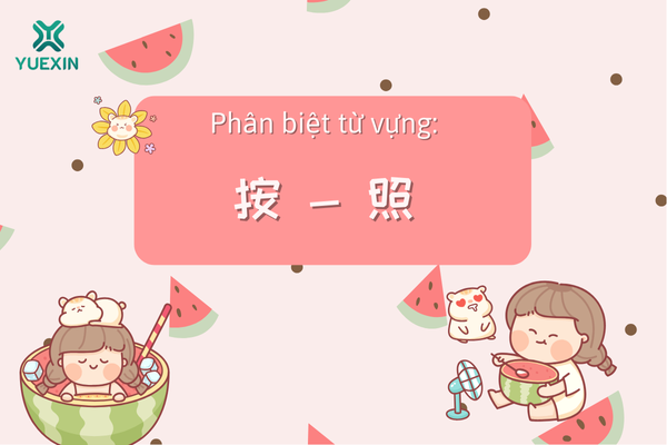 Phân biệt từ vựng: 按 - 照