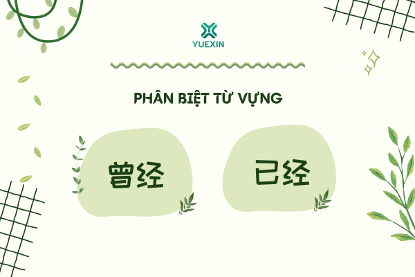 Phân biệt từ vựng: 曾经 - 已经