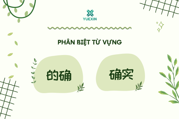 Phân biệt từ vựng: 的确 - 确实