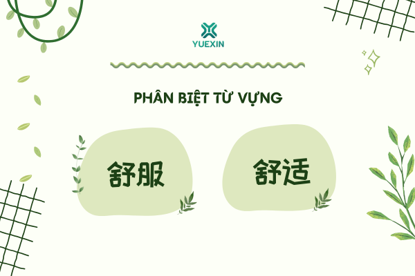 Phân biệt từ vựng: 舒服 - 舒适