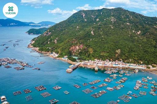 5 trải nghiệm nên thử khi tới Hồng Kông 5