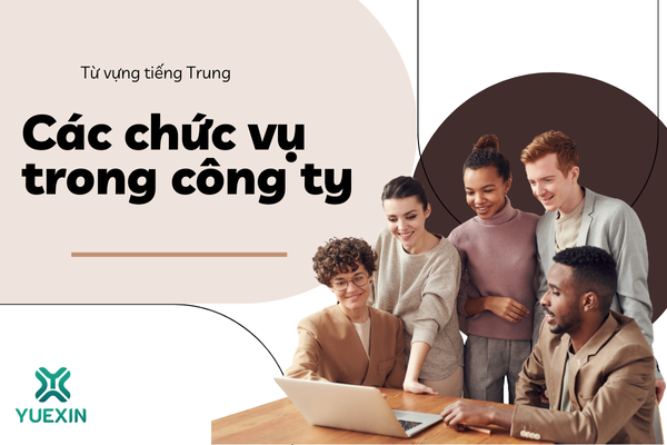 Từ vựng tiếng Trung: Các chức vụ trong công ty